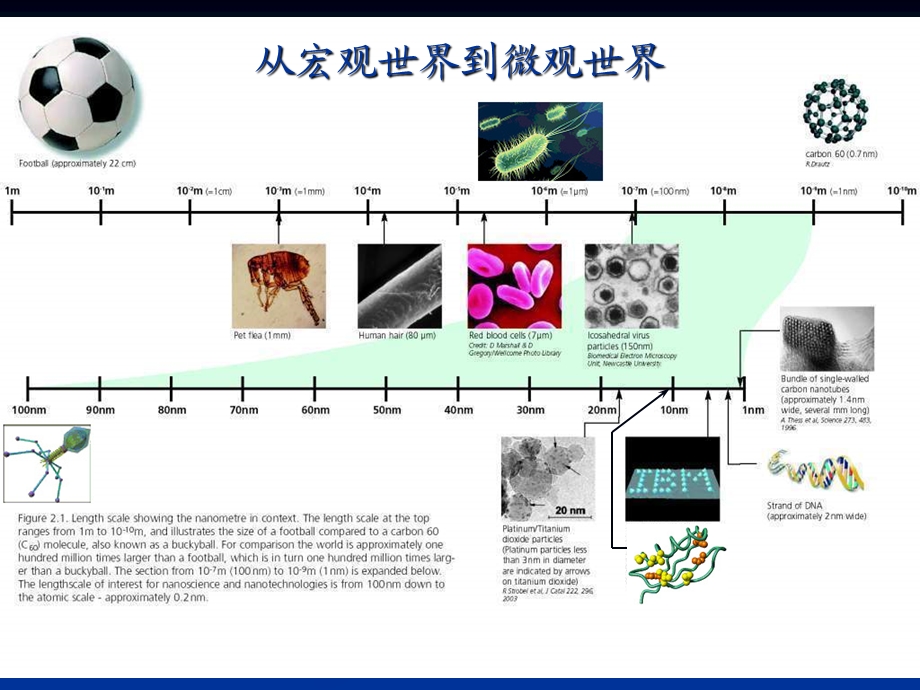 纳米生物技术及其应用.ppt_第2页