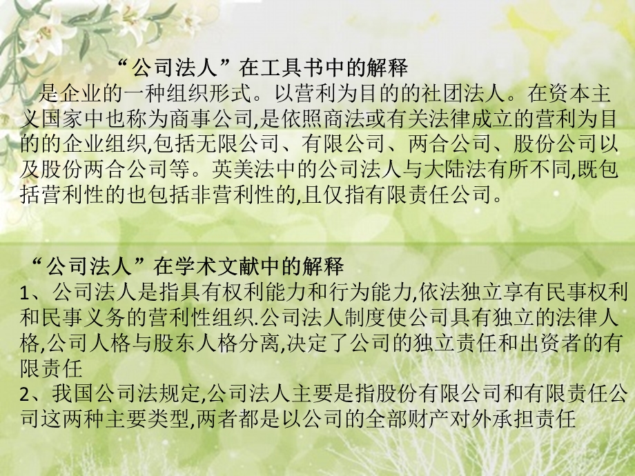 法人与公司法人的区别.ppt_第2页