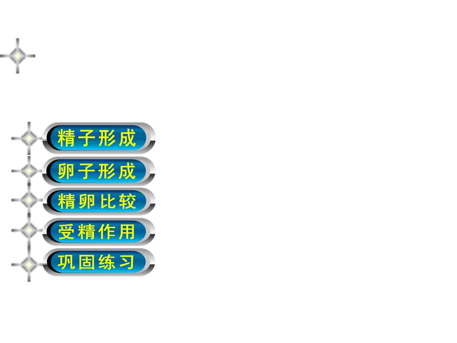 生殖细胞的形成 (2).ppt_第2页