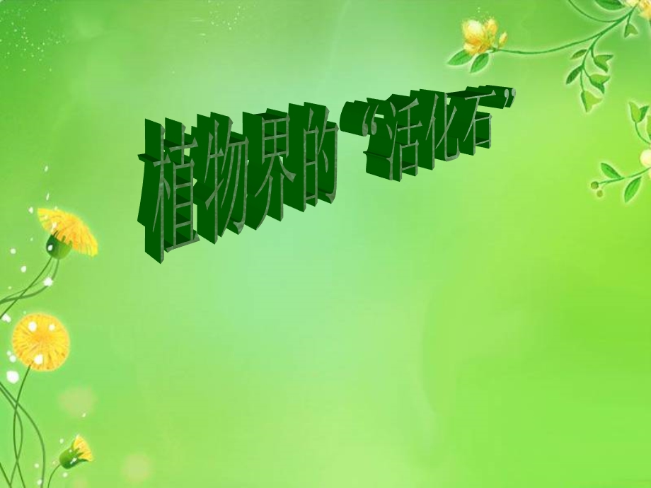 植物界的活化石.ppt_第1页