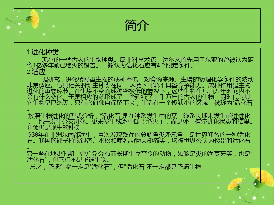 植物界的活化石.ppt_第3页