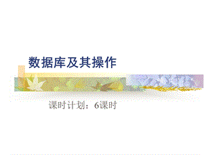 数据库及其操作.ppt