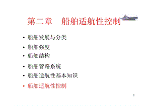 船舶适航性控制.ppt