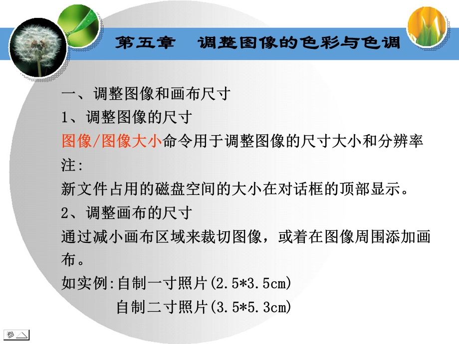 调整图像的色彩和色调.ppt_第1页