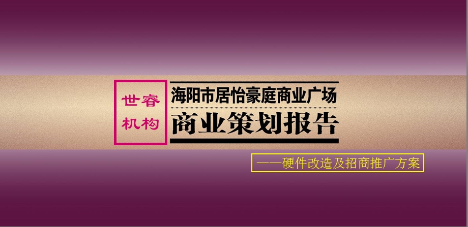 山东海阳市居怡豪庭商业广场硬件改造及招商推广方案43页.ppt_第1页