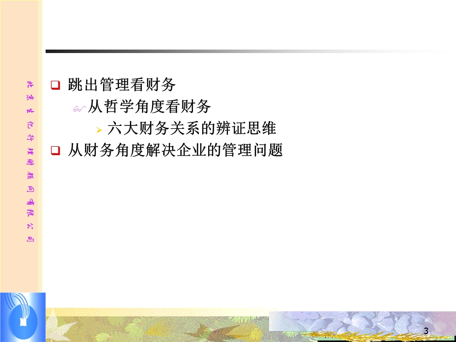 老板财务难题解决方案-账前消化培训讲义.ppt_第3页