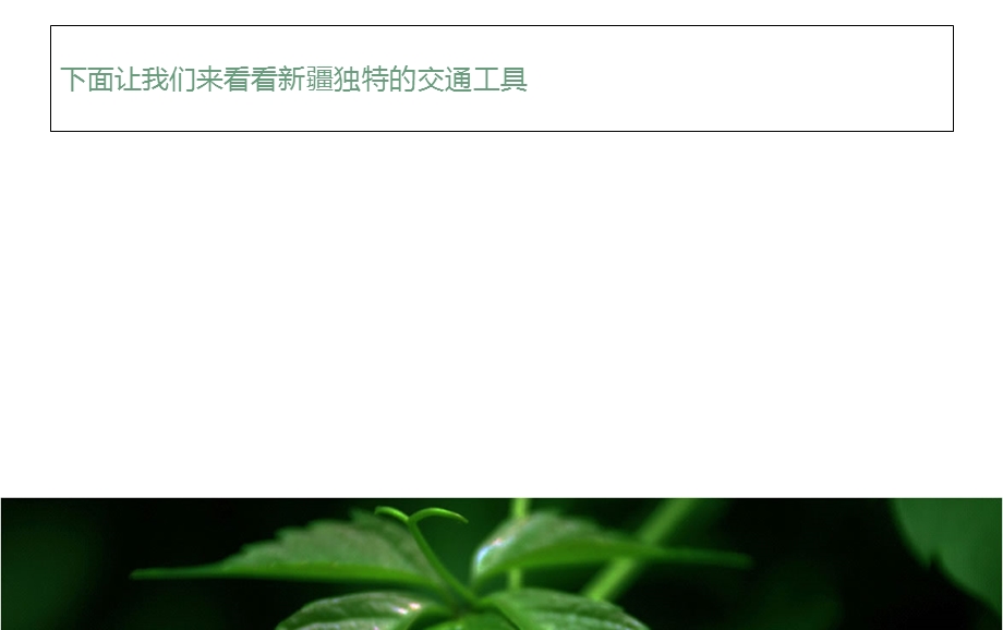 独特的交通工具.ppt_第3页