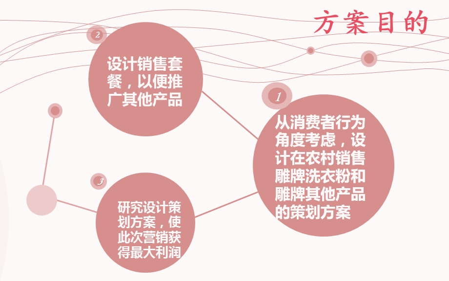 洁净千万家营销方案.ppt_第3页