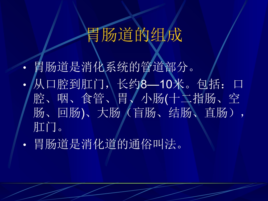 肠道的结构功能与微生态.ppt_第2页