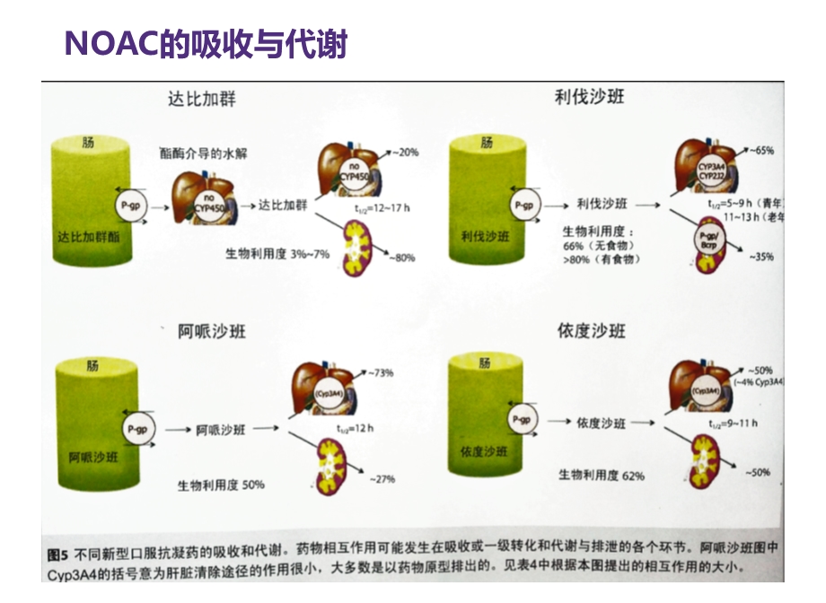 新型抗凝药物使用中的常见问题.ppt_第3页