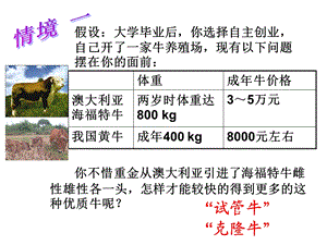 胚胎移植与胚胎分割胚胎干细胞.ppt