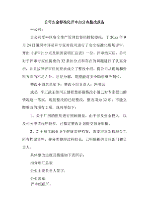 公司安全标准化评审扣分点整改报告.docx