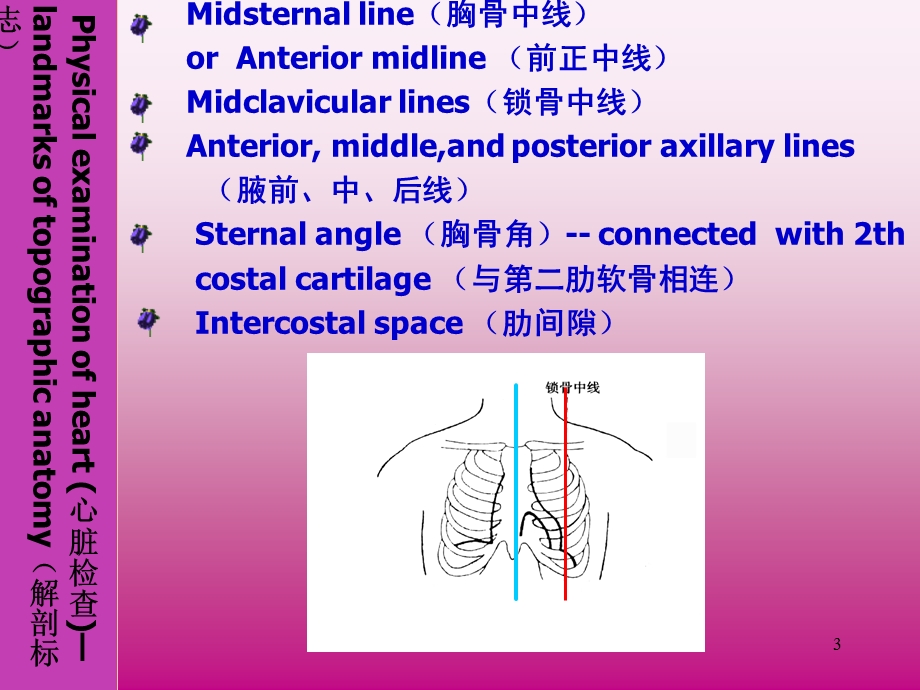 心脏体检上课用.ppt_第3页