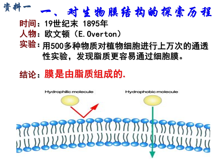 生物①必修4.2《生物膜的流动镶嵌模型》PPT课件.ppt_第3页