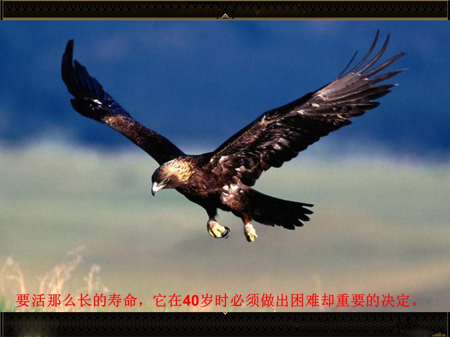 打造卓越的团队.ppt_第3页