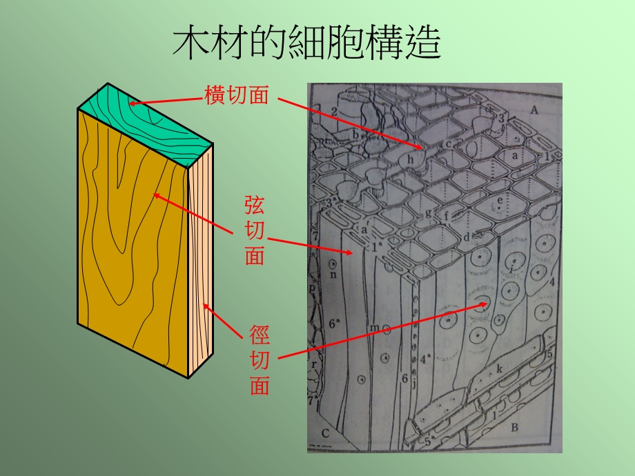 木材含水率控制和影响.ppt_第3页