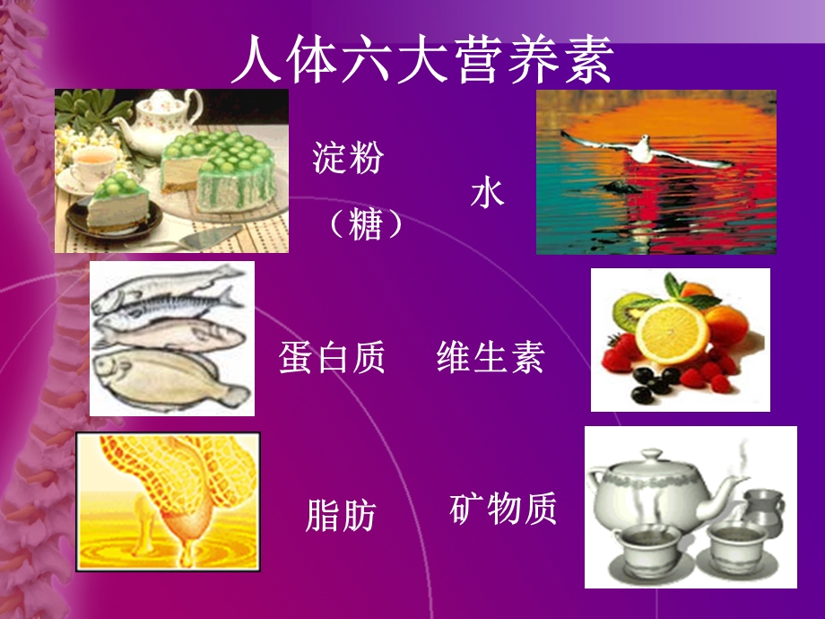 膳食纤维与人体健康.ppt_第2页