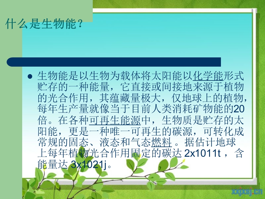 生物能发电介绍.ppt_第2页