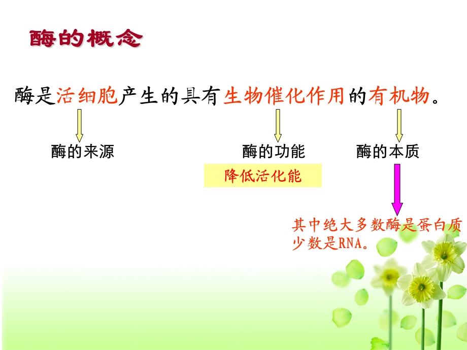 影响酶活性的条件.ppt_第3页