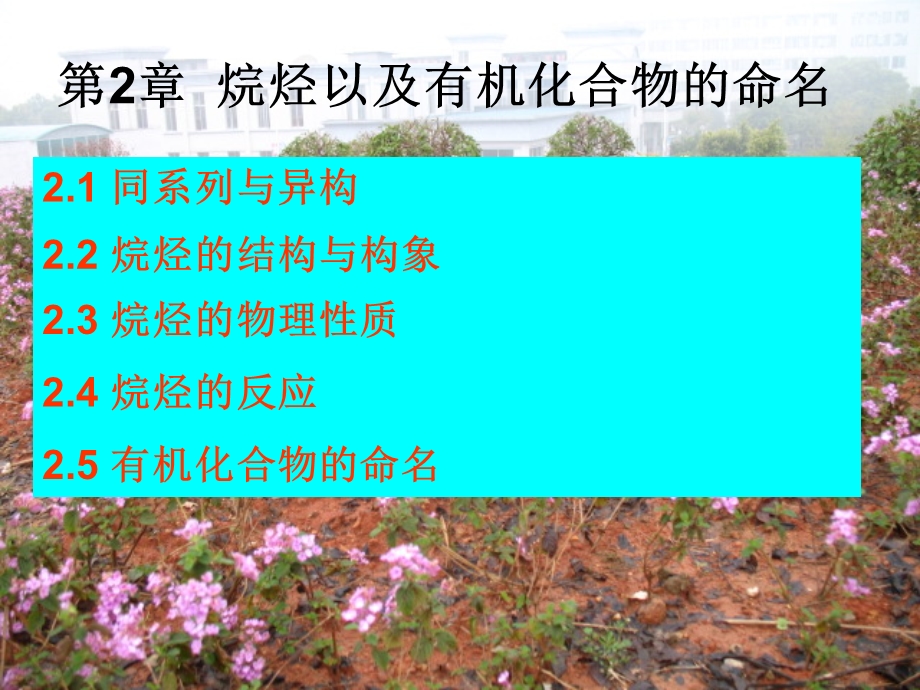 烷烃以及有机化合物的命名.ppt_第2页