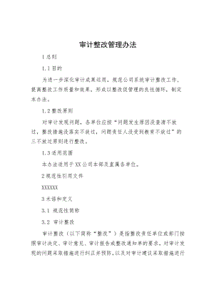 审计整改管理办法.docx