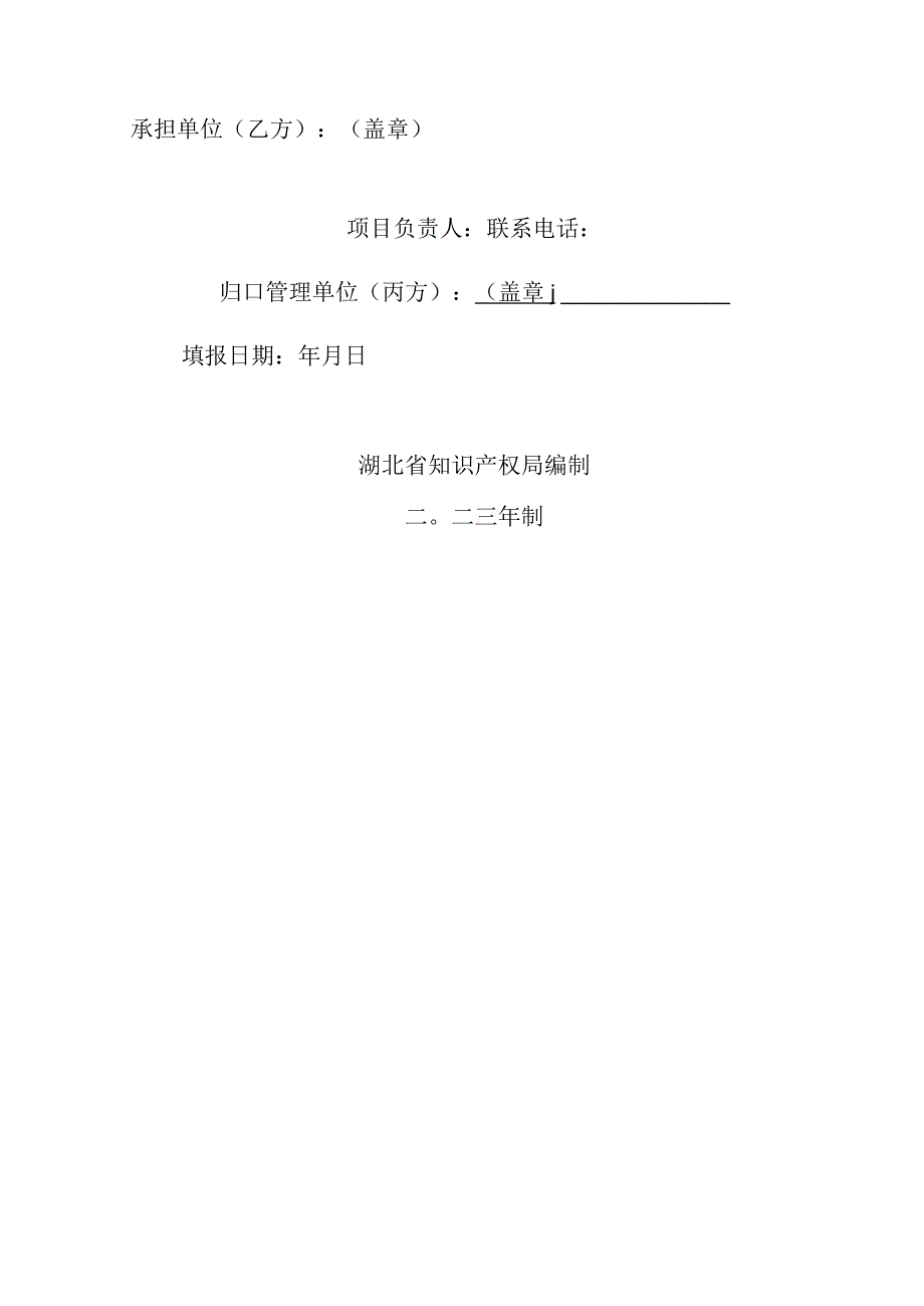 省局填写2023年湖北省知识产权服务能力提升工程及软科学研究项目任务书.docx_第2页