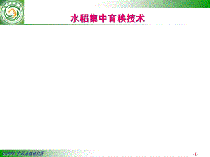 水稻种植的集中育秧技术.ppt