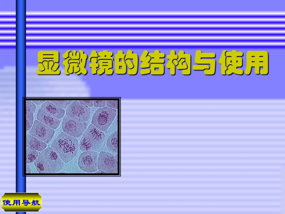 生物ppt课件-显微镜的结构与使用.ppt_第1页