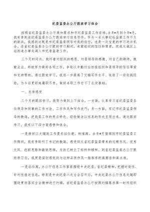 纪委监委办公厅跟班学习体会.docx