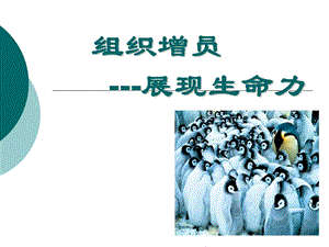 组织增员(展现生命力).ppt