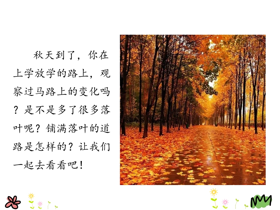 《铺满金色巴掌的水泥道》优质课件.ppt_第2页