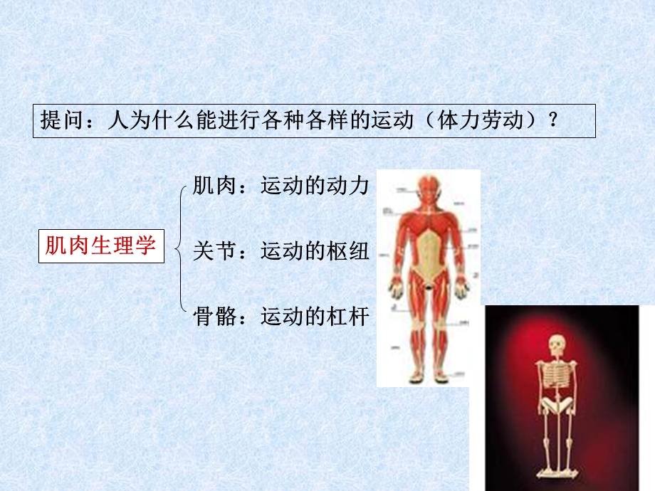 劳动过程对人体的影响.ppt_第2页