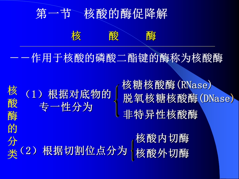 十一核苷酸代谢.ppt_第3页