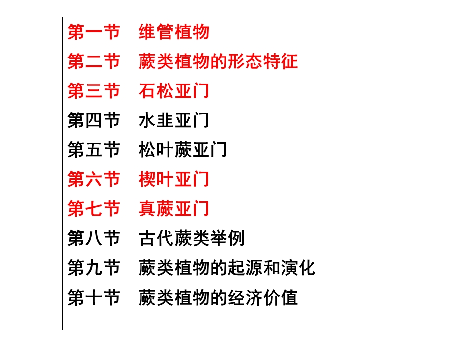 《蕨类植物》课件.ppt_第2页