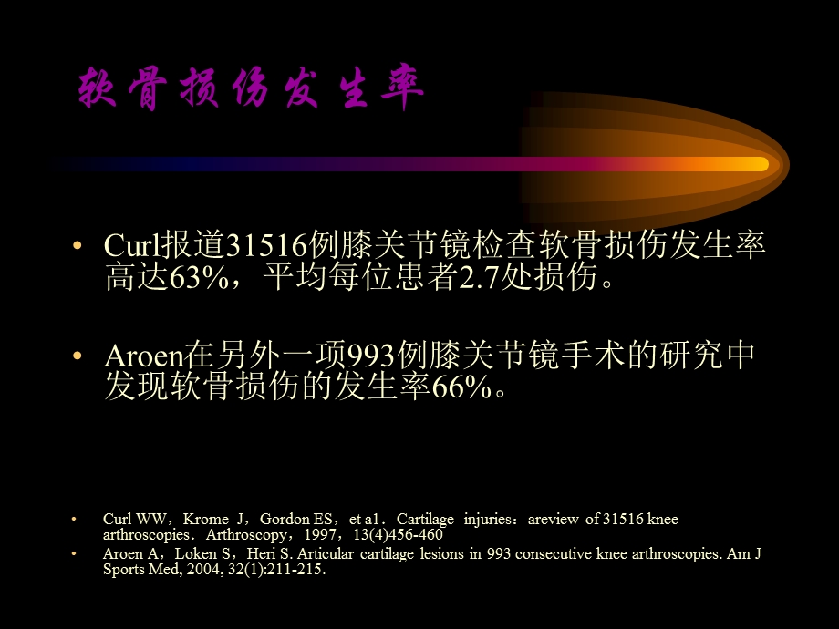 关节软骨损伤治疗选择.ppt_第2页