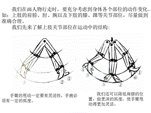 人走路运动规律.ppt