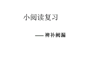 二轮xiaoyuedu复习.ppt