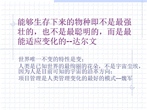 企业项目管理框架.ppt