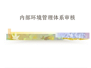 内部环境管理体系审核讲义.ppt