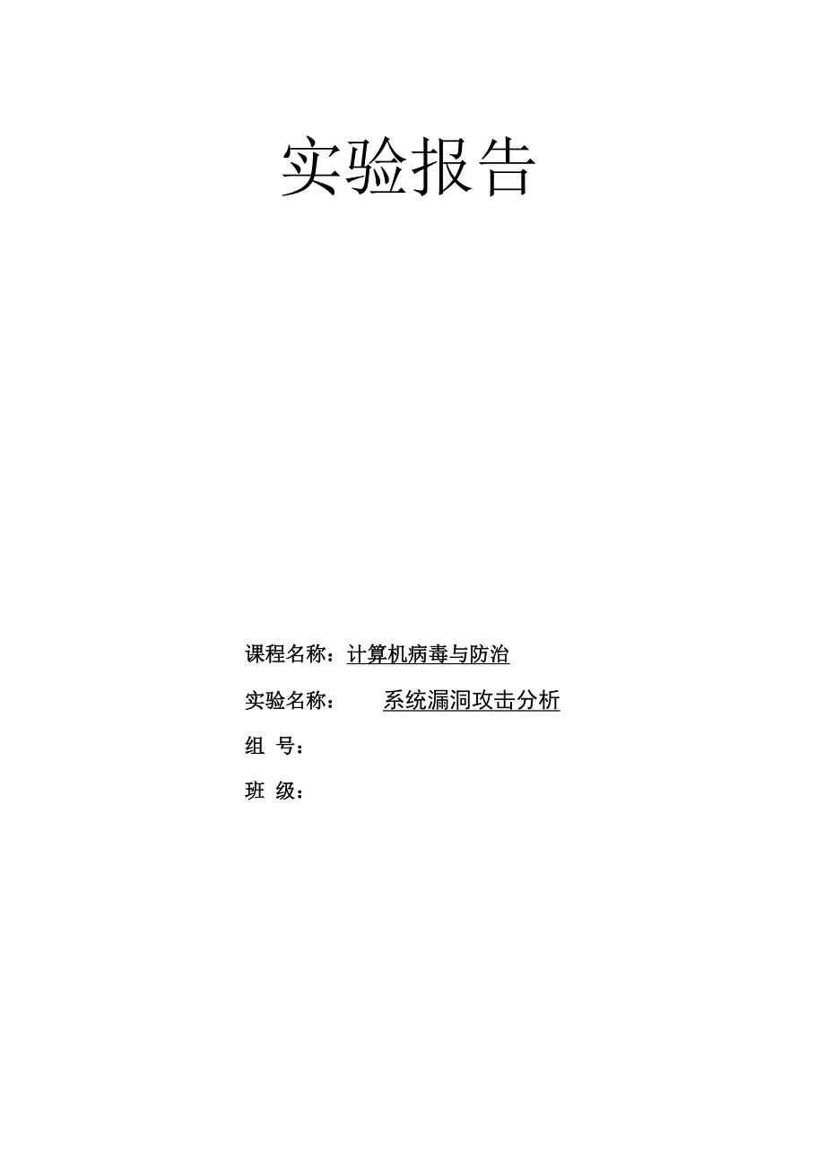 实验系统漏洞攻击分析.docx_第1页