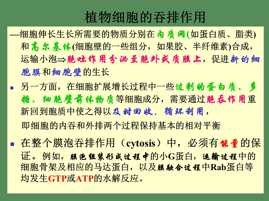 内吞与内膜系统.ppt_第2页