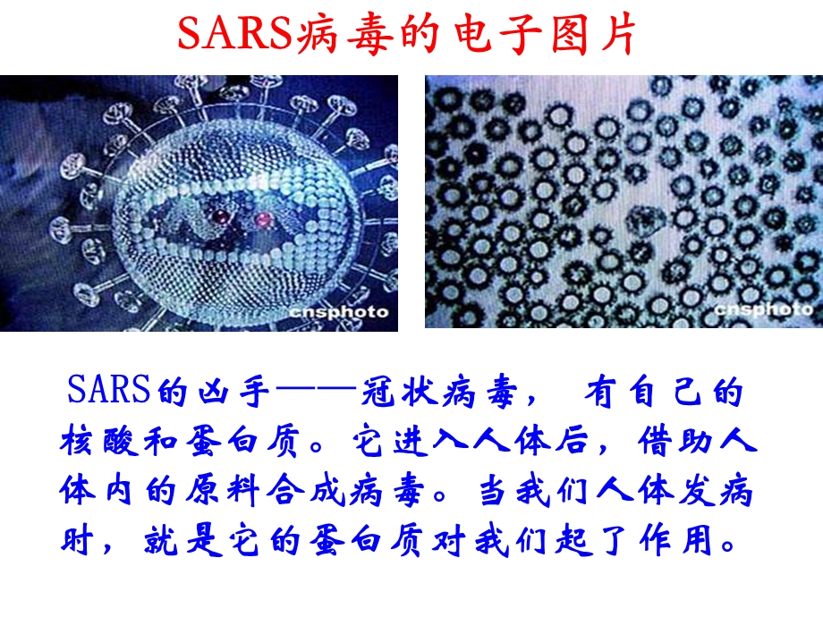 高一化学蛋白质和氨基酸.ppt_第3页