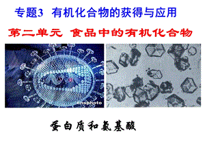 高一化学蛋白质和氨基酸.ppt