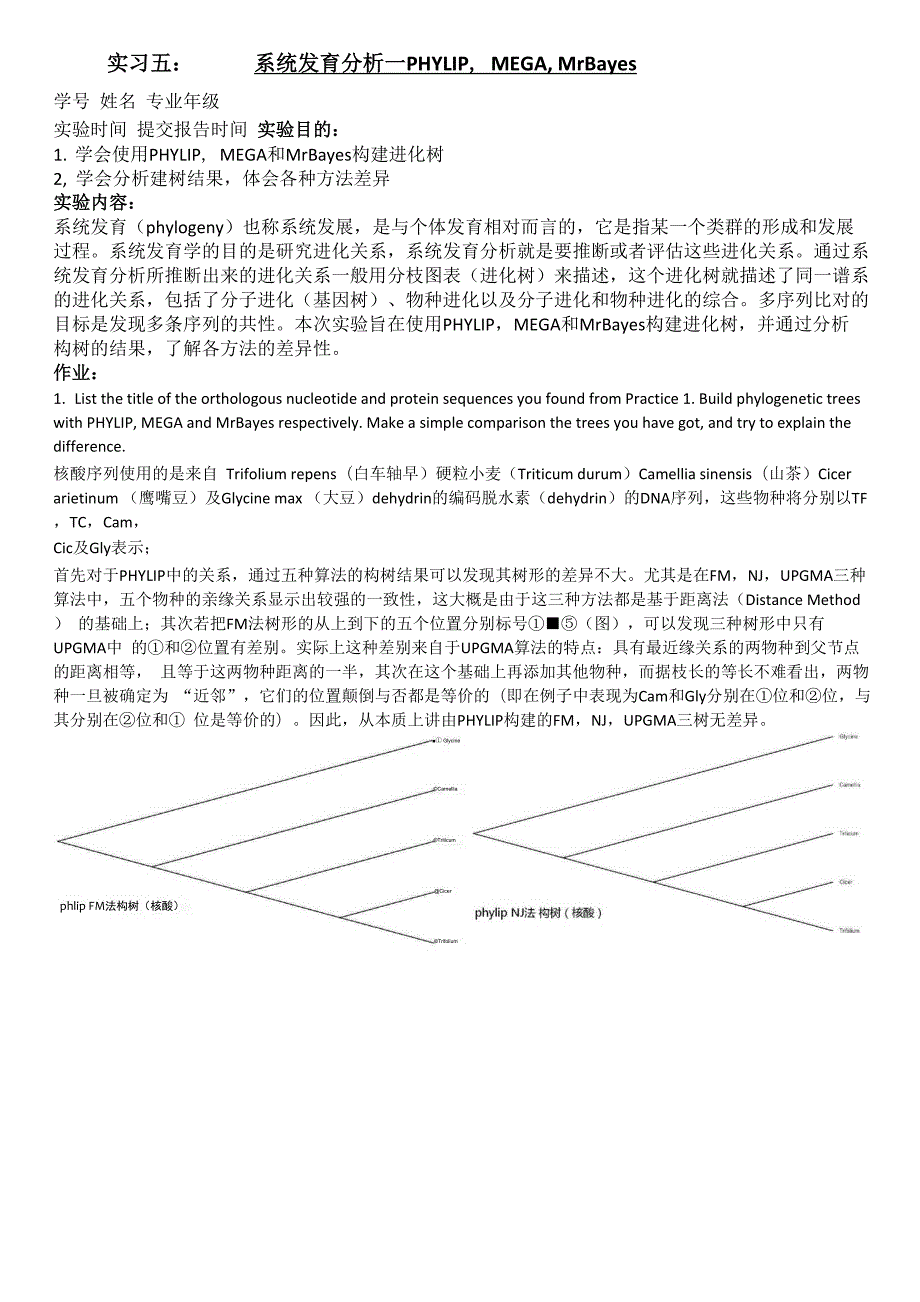 实习五：系统发育分析.docx_第1页