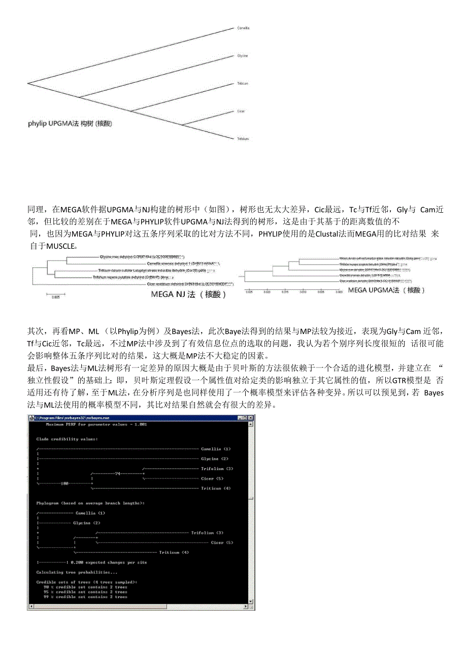 实习五：系统发育分析.docx_第2页