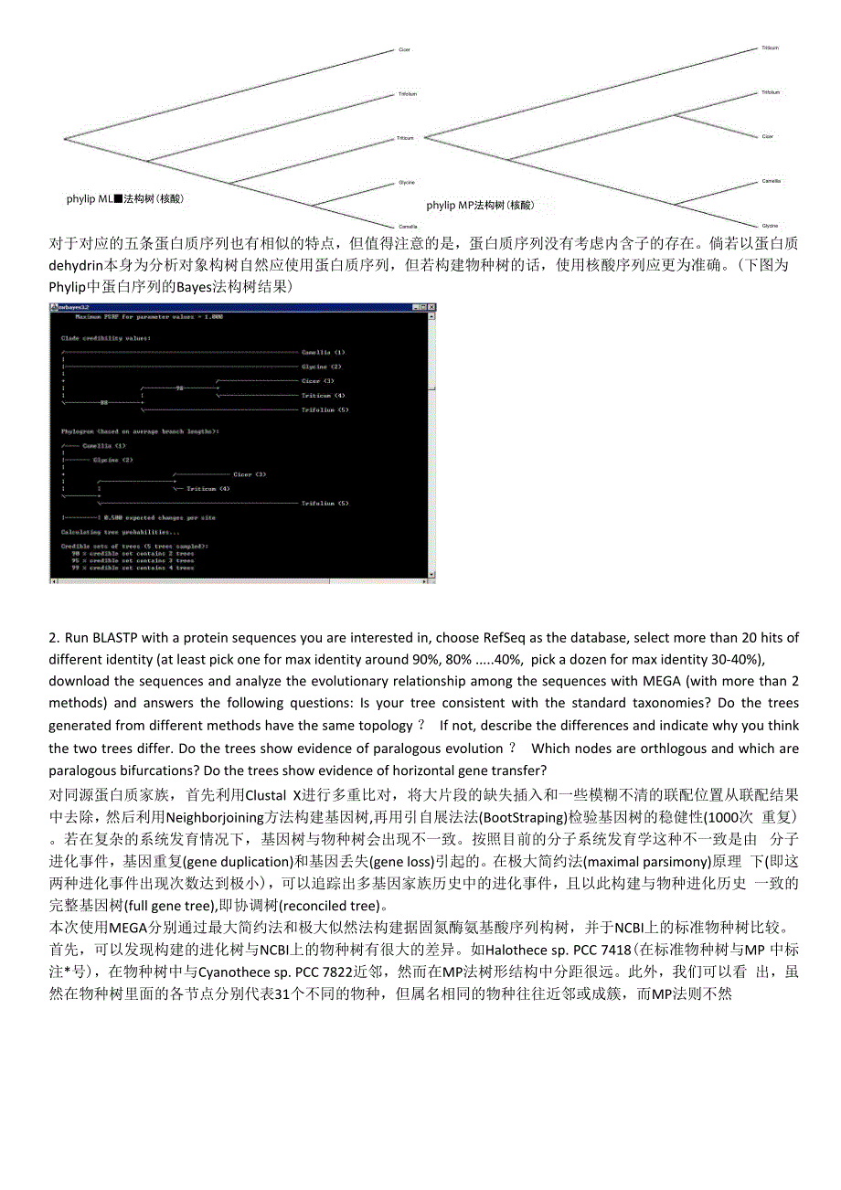 实习五：系统发育分析.docx_第3页