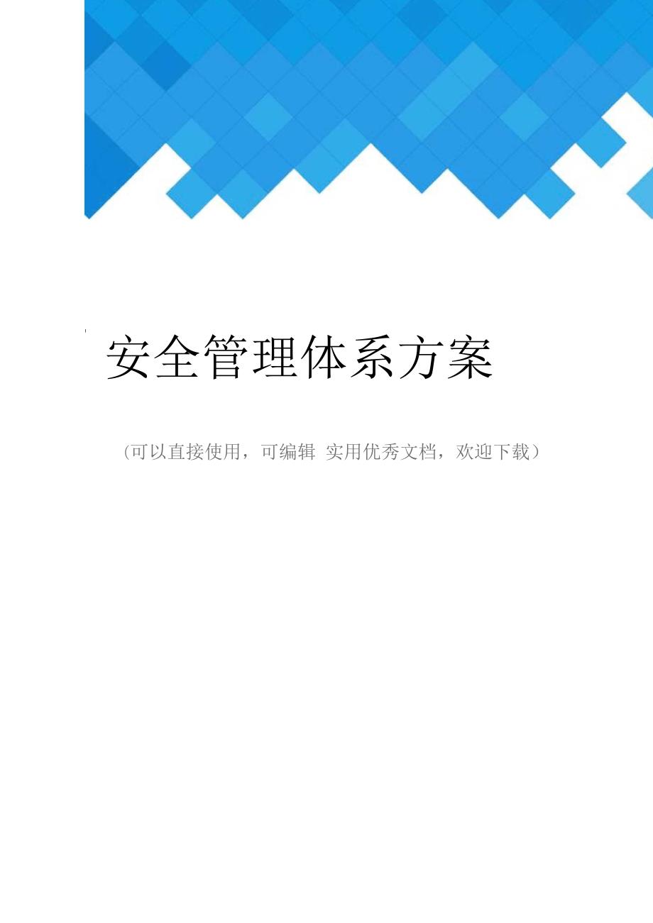 安全管理体系方案完整.docx_第1页