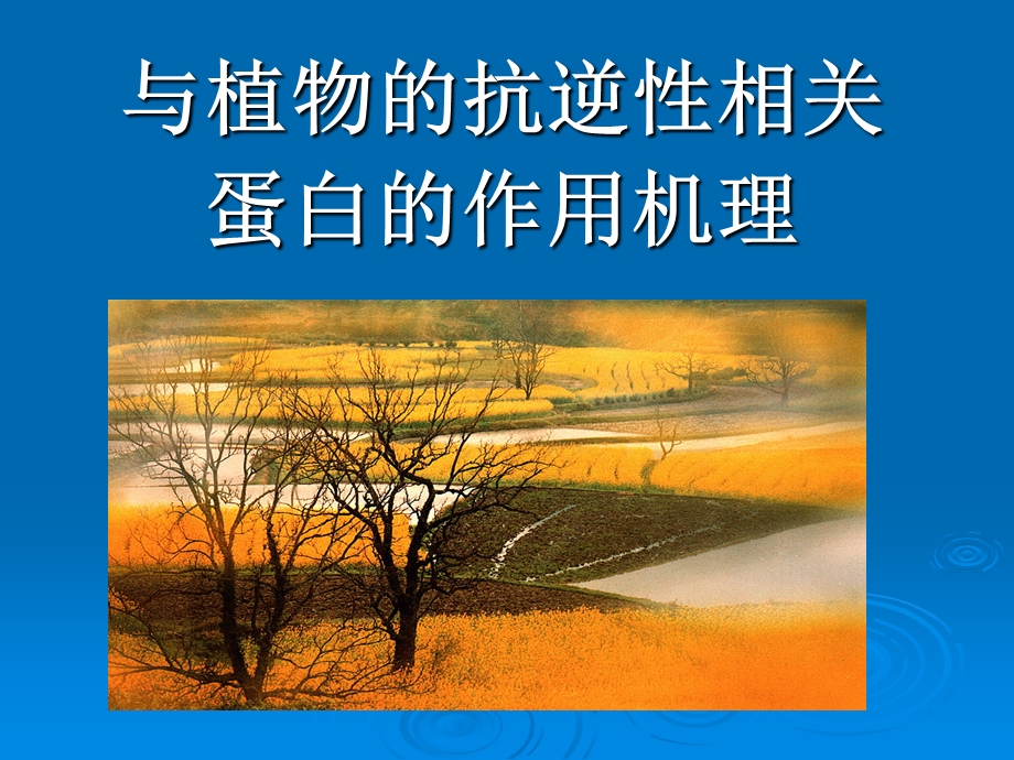 与植物的抗逆性相关蛋白的作用机理.ppt_第1页