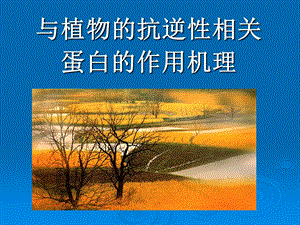 与植物的抗逆性相关蛋白的作用机理.ppt