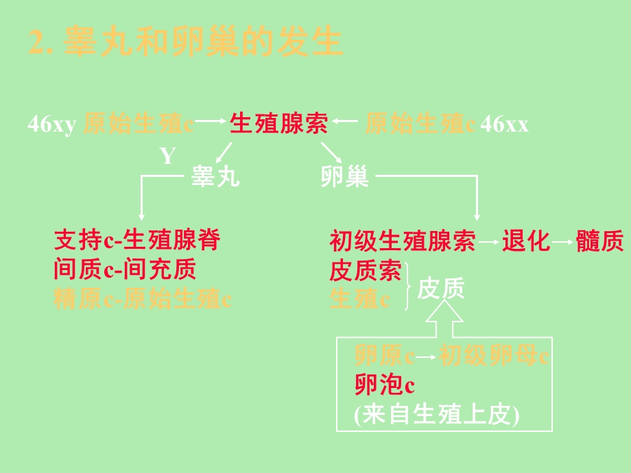 两款手机的弗兰克.ppt_第2页